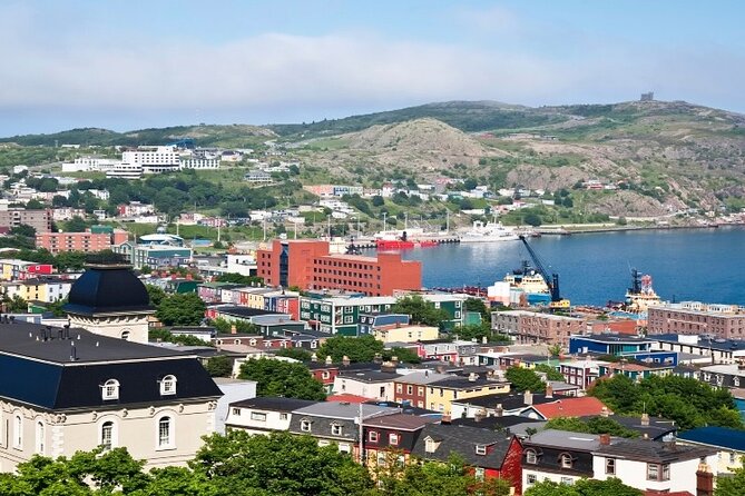 St. John'S Small Group Tour With Iceberg Quest Boat Cruise - Pricing and Booking