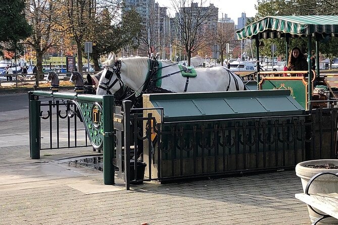 Stanley Park Horse-Drawn Tour - Tour Preparation & Experience