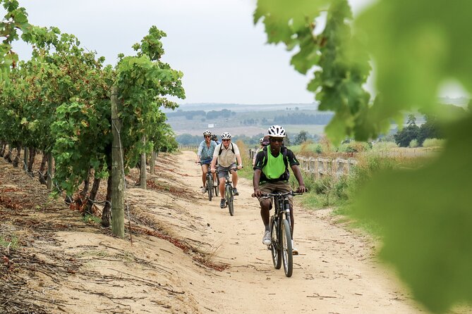 Stellenbosch Half Day Winelands Cycle Tour - Important Information
