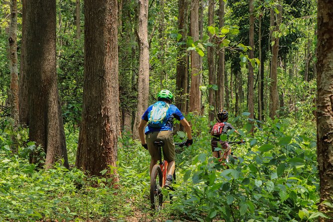 Sticky Waterfall Cycling Tour - Reviews