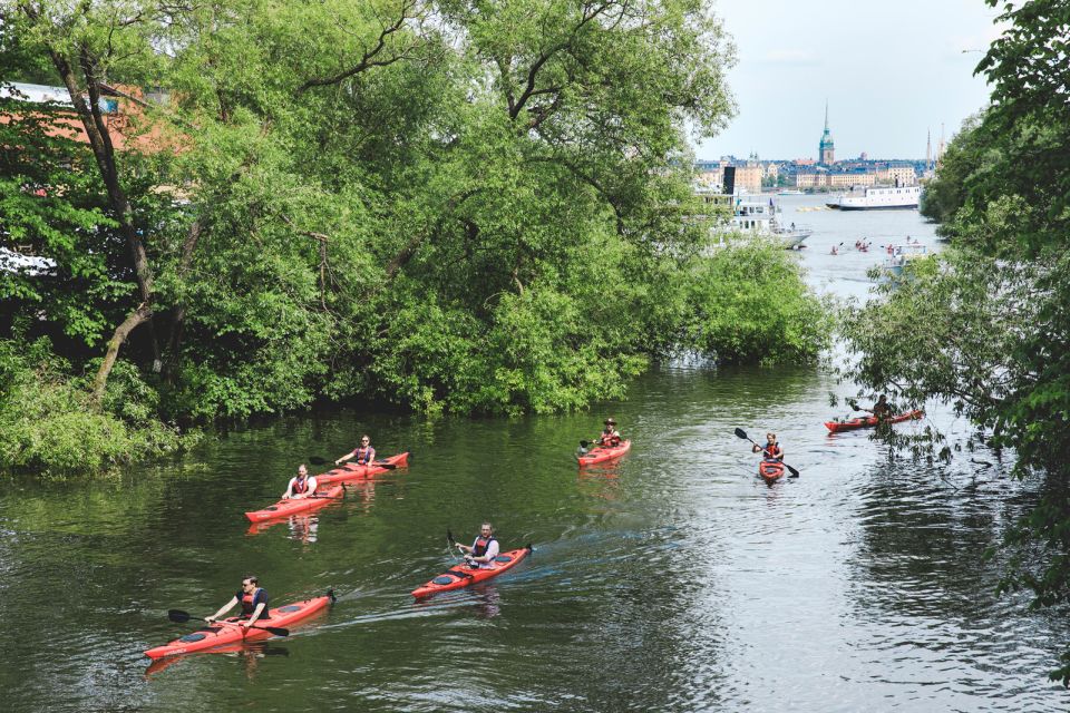 Stockholm: 2-Hour Guided Kayak Tour in City Center - Tour Review Summary