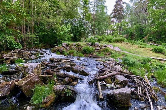 Stockholm Eco-Friendly Sunset Hike And Wildlife Spotting (Apr ) - Meet Your Experienced Guide