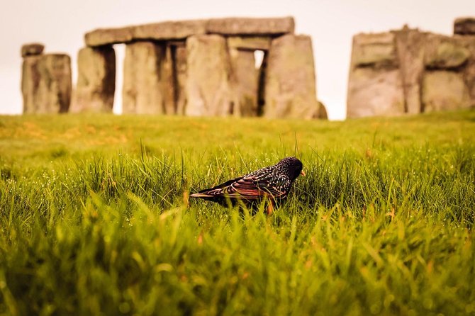 Stonehenge Tour From Heathrow or Southampton - Pickup and Drop-off Information