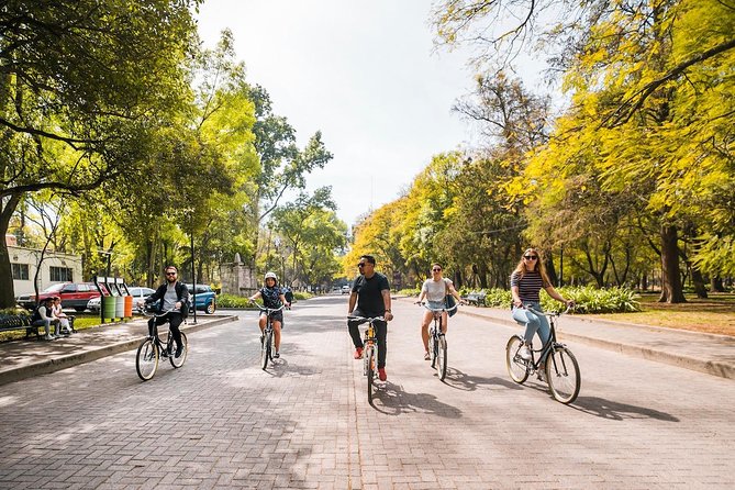 Street Food Bike Tour / Mexico Is Not Only Tacos - Safety and Support