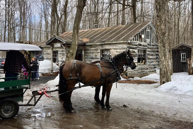 Sugar Shack (Feb to May) Maple Syrup Private Day Tour With Lunch From Montreal - Customer Reviews and Ratings