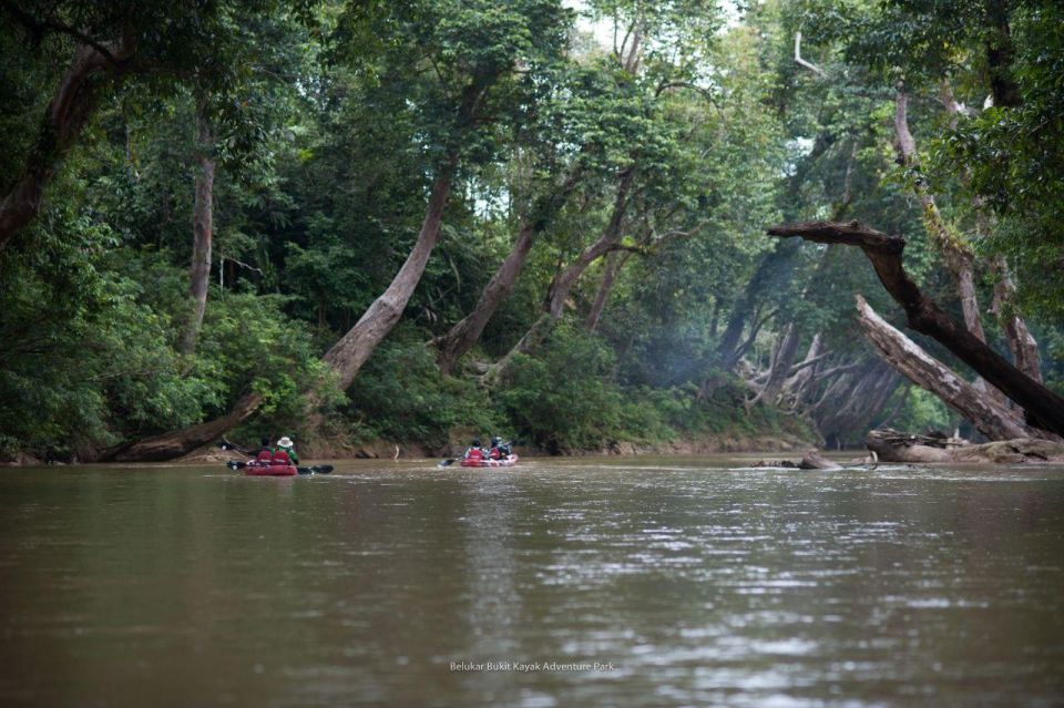 Sungai Berang Wildlife & Cultural Kayak Tour - Cultural Immersion Experiences