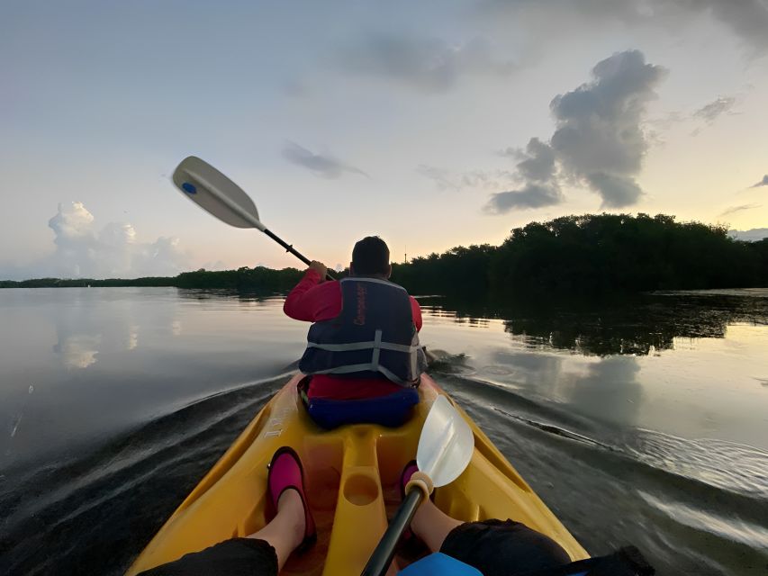 Sunrise Kayak Tour by Wayak Tour - Activity Description