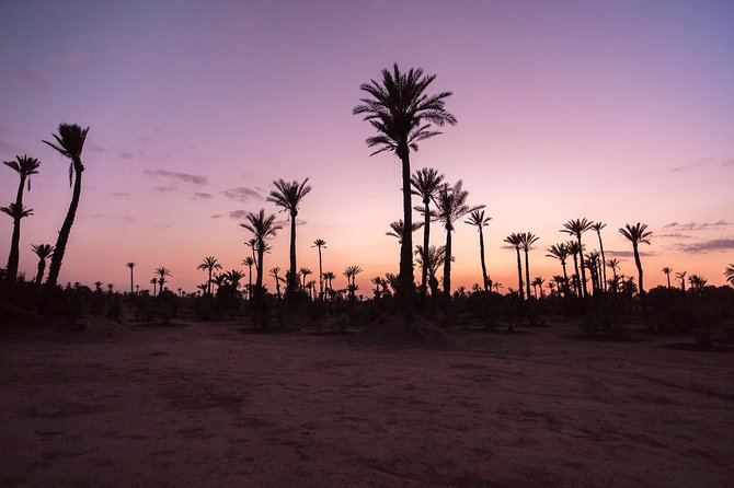 Sunset Camel Ride in the Palm Groves of Marrakech - Directions