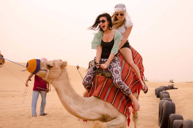 Sunset Camel Ride Including BBQ Dinner From Ras Al Khaimah - Customer Reviews Overview