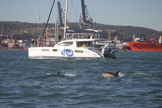 Sunset Catamaran in Lisbon Drinks and Music - Additional Details and Contact Information