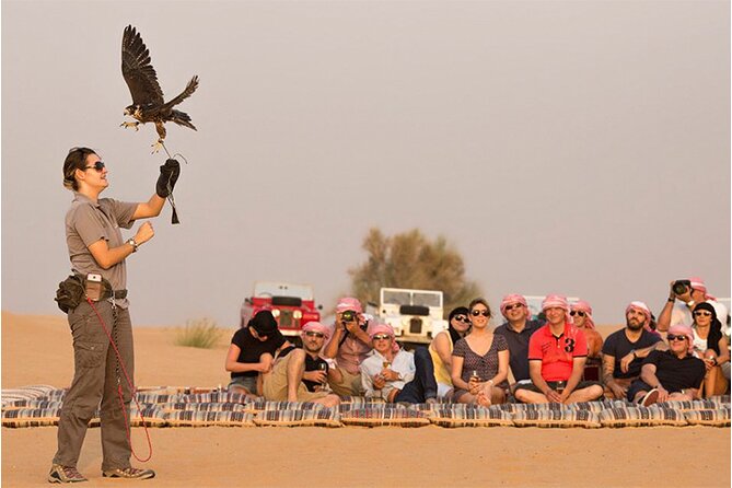 Sunset Desert Safari Dubai With BBQ Dinner & Live Shows - Convenient Logistics for Tour