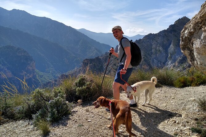 Sunset Hike & Summit Sierra Nevada With Pooch - Safety Precautions for Dog-Friendly Hikes
