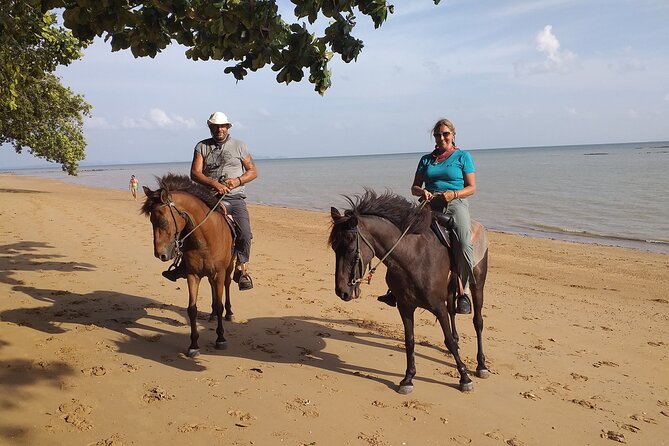 Sunset Horse Riding And BBQ Dinner Tour At Ao Nam Mao Beach Krabi - Additional Guidelines