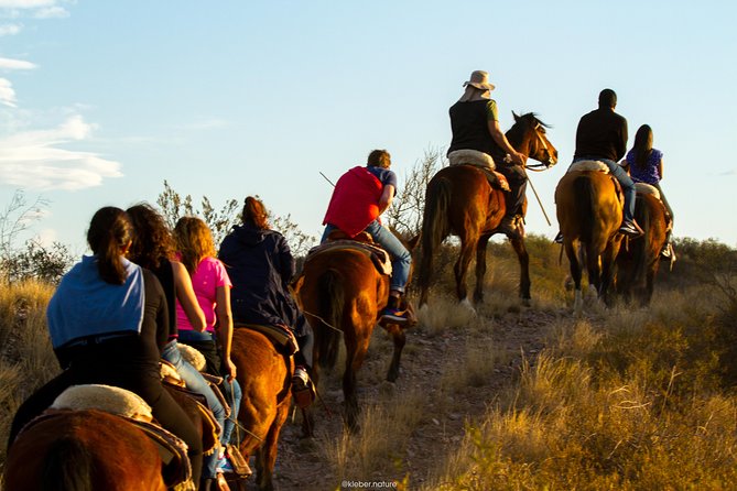 Sunset Horseback Riding - Operator Information and Policies