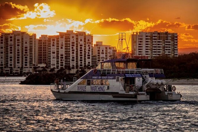 Sunset on the Broadwater Cruise With Spirit of Gold Coast - Live Commentary Experience