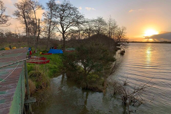 Sunset Paddle-Boarding Tour in Auckland - Tour Restrictions and Policies