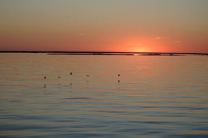 Sunset Tour Ria Formosa - From Faro - Cancellation Policy and Customer Reviews