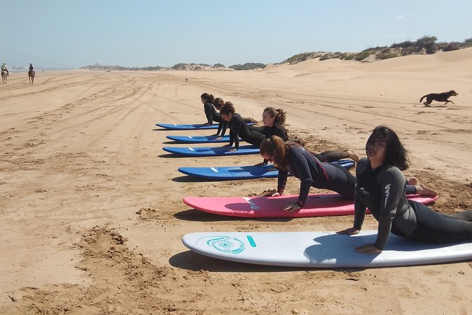 Surf Day Trip in Uncrowded Spots - Reviews and Pricing