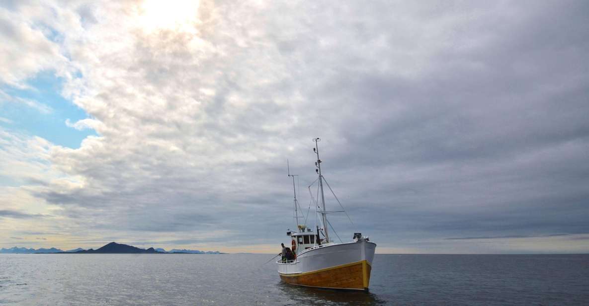 Svolvær: Fishing Trip on the Lofoten Sea - Boat and Nature