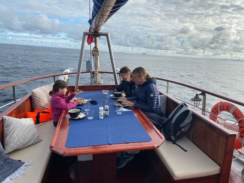 Svolvær: Luxury Lofoten Islands Fishing Trip - Booking Options and Pricing