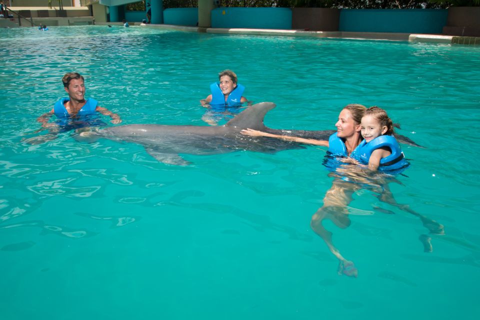 Swim With Dolphins Ride - Interactive Aquarium Cancun - Safety Guidelines and Restrictions