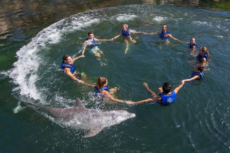 Swim With Dolphins Splash - Puerto Morelos - Reservation Details