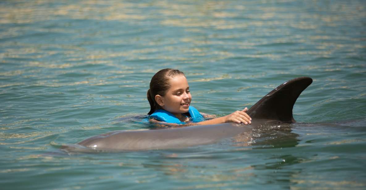 Swim With Dolphins Splash - Punta Cancun - Reservation & Payment