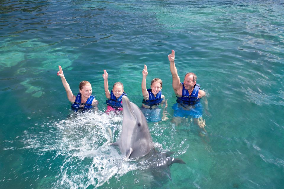 Swim With Dolphins - Supreme - Puerto Morelos - Unique Dolphin Activities