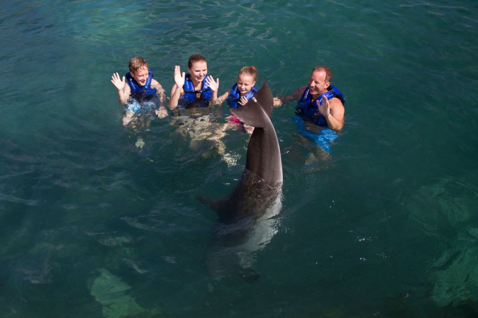 Swim With Dolphins Supreme - Riviera Maya - Customer Reviews