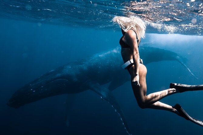 Swimming With Whales in Moorea (Half Day Tour) - Customer Service and Reviews