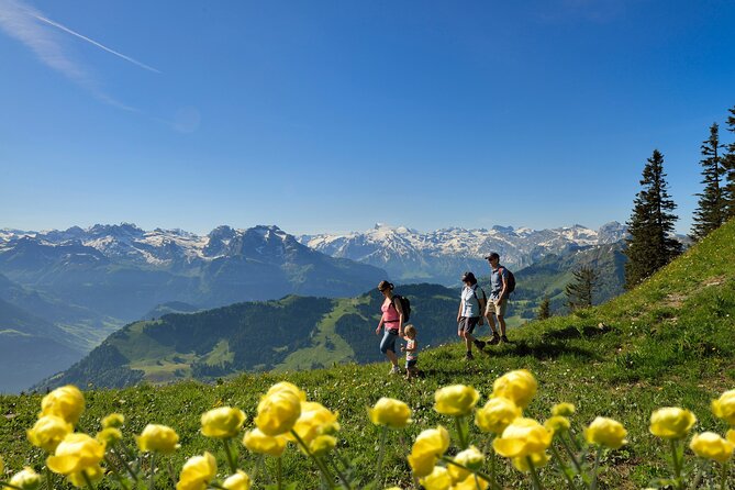 Swiss Alps Tour: Lucerne, Stanserhorn, Funicular, From Zurich - Guides Role and Presence