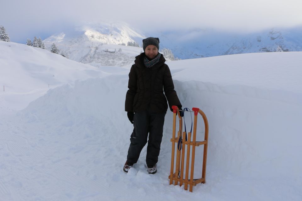 Switzerland: Private Sledging Day Tour - Inclusions and Services