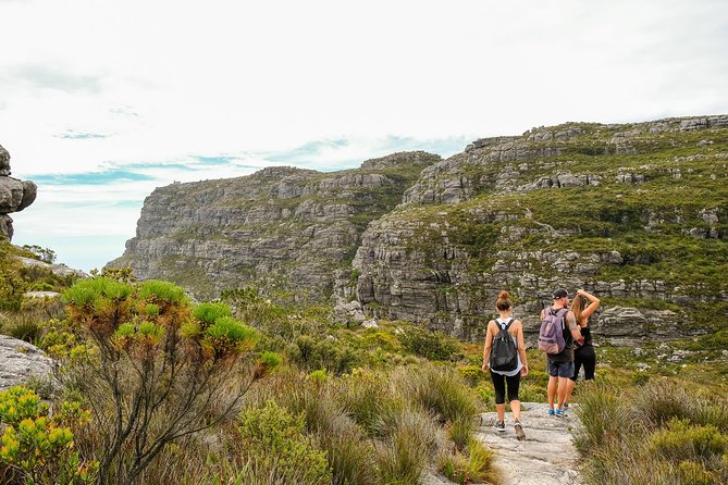 Table Mountain Summit Hike via Kasteelspoort in Cape Town - Scenic Highlights