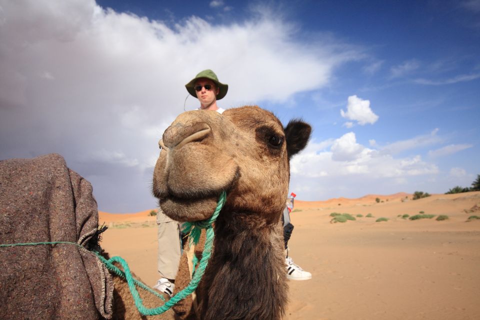 Taghazout Sunset Camel Ride - Activity Inclusions