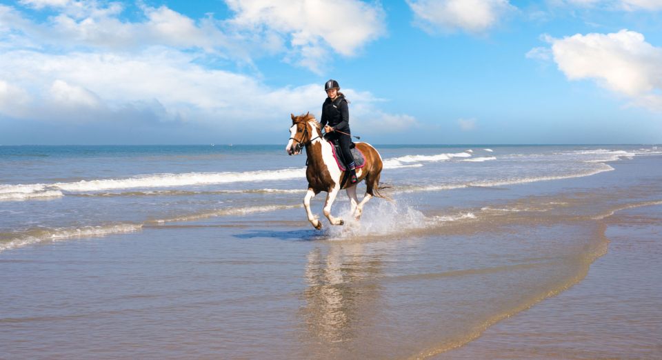 Taghazout: Sunset Horse Riding Experience on the Beach - Review Summary