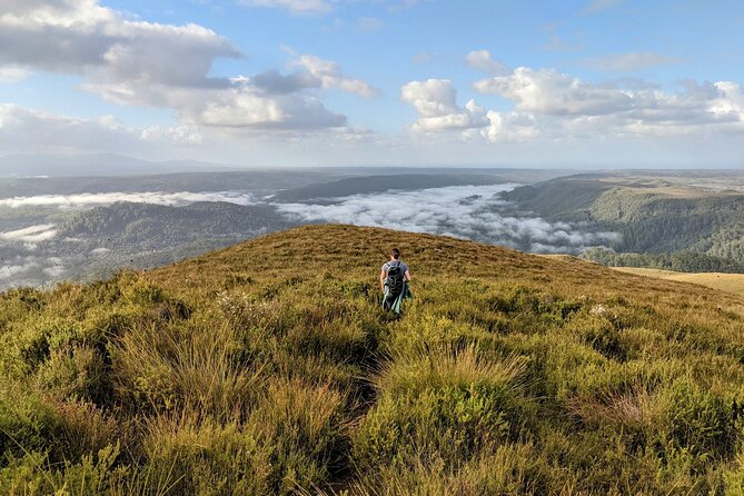 Takayna / Tarkine Wilderness Highlights Hiking Tour - 5 Days - Pricing and Booking Information