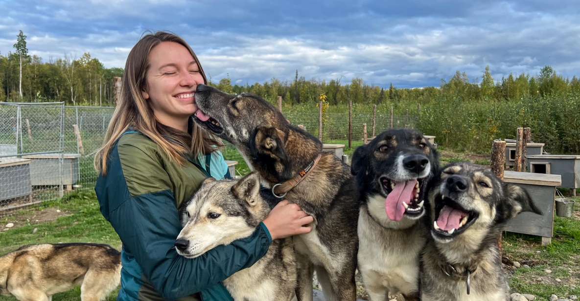 Talkeetna: Summer Sled Dog Kennel Tour - Booking and Experience Highlights
