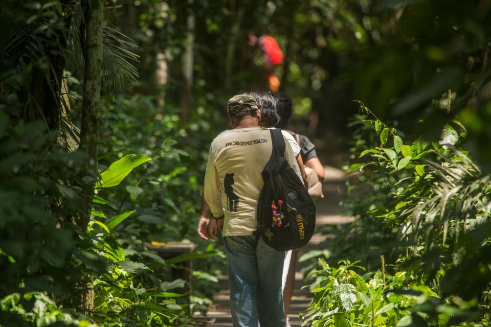 Tambopata Macaw Clay Lick 5 Days/4 Nights - Day 4: Wildlife Encounters