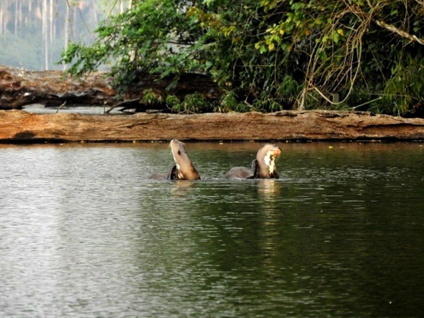 Tambopata National Reserve With Fauna Observation 4 Days - Inclusions