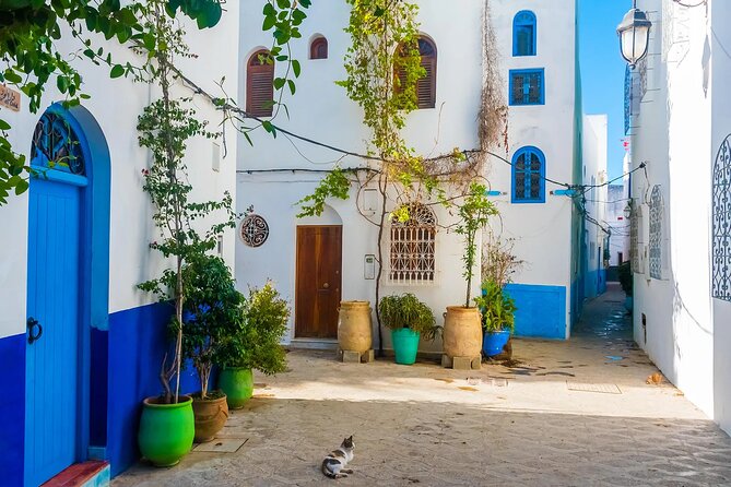 Tangier & Asilah Private Tour With From Malaga or Marbella - Common questions