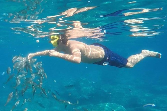 Taormina Snorkeling Experience - Booking Details