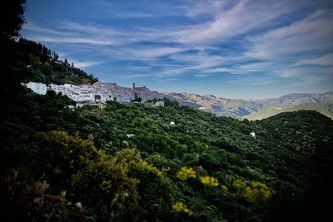 Taste Andalusia in the Mountains: A Memorable Dining Experience - Dining With a View of the Mountains