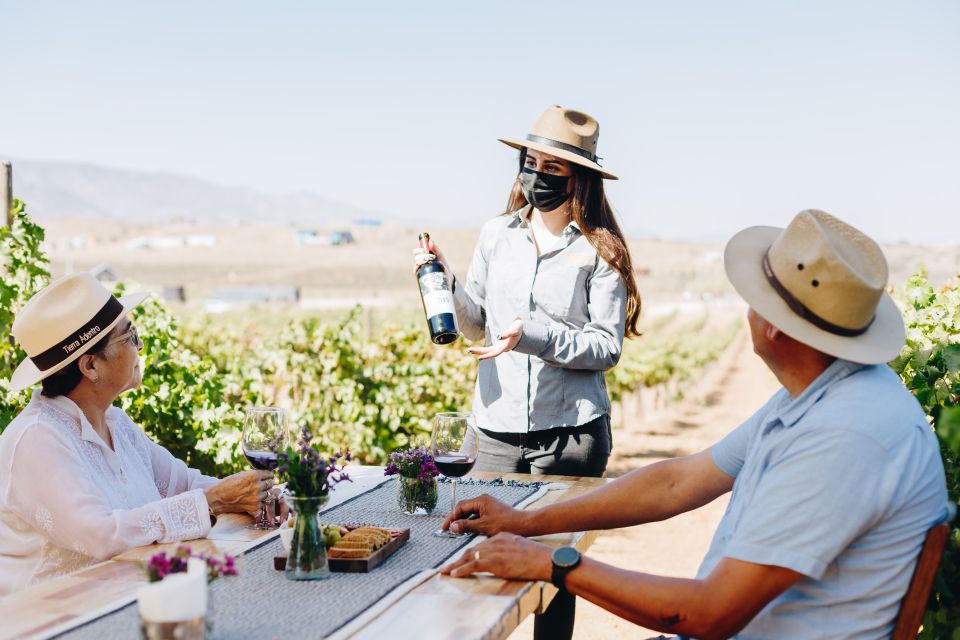 Tasting and Tour Through the Vineyard - Location Details