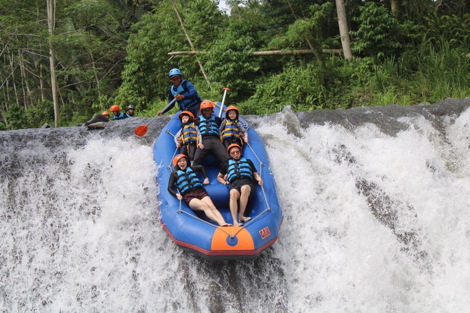 Telaga Waja Bali White Water Rafting Exclusive With Lunch - Activity Highlights