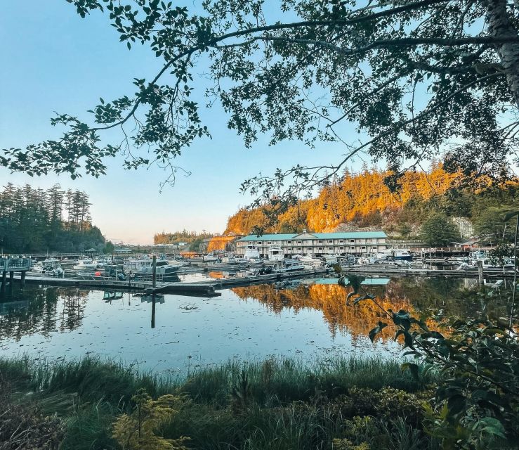 Telegraph Cove: 2 Hour Evening Kayak Tour - Tour Highlights