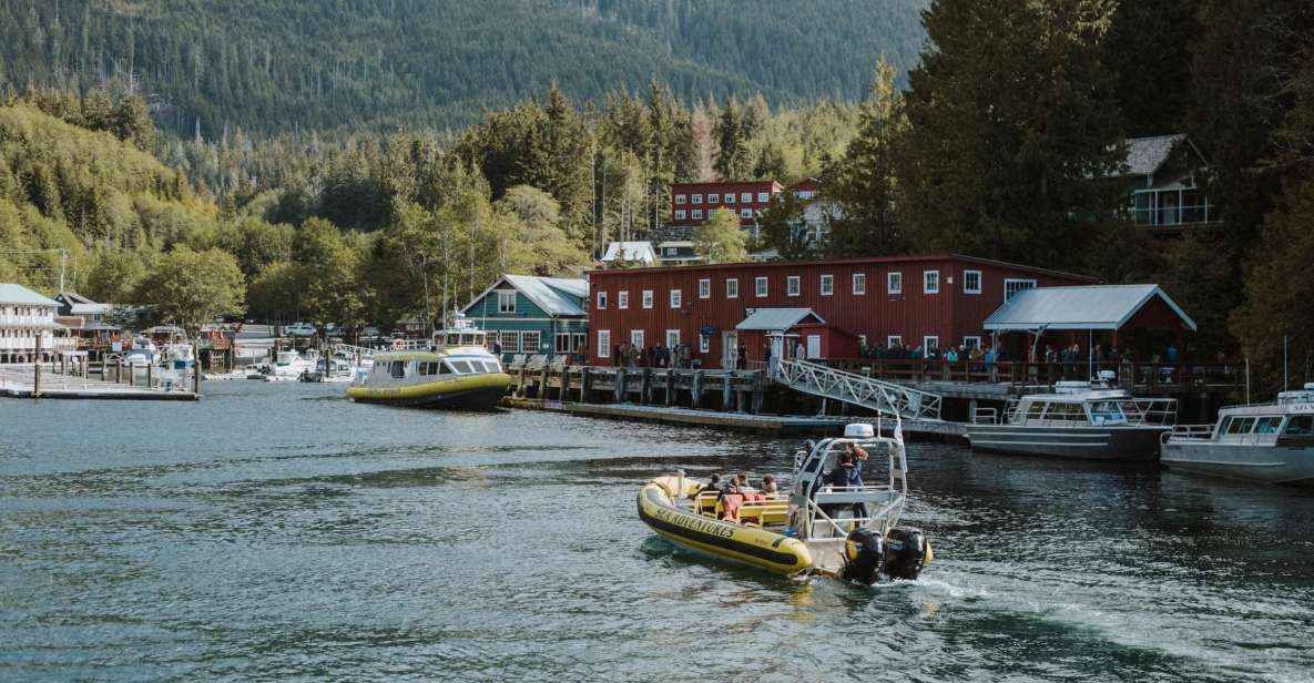 Telegraph Cove: 3-Hour Whale Watching Tour in a Zodiac Boat - Review Summary