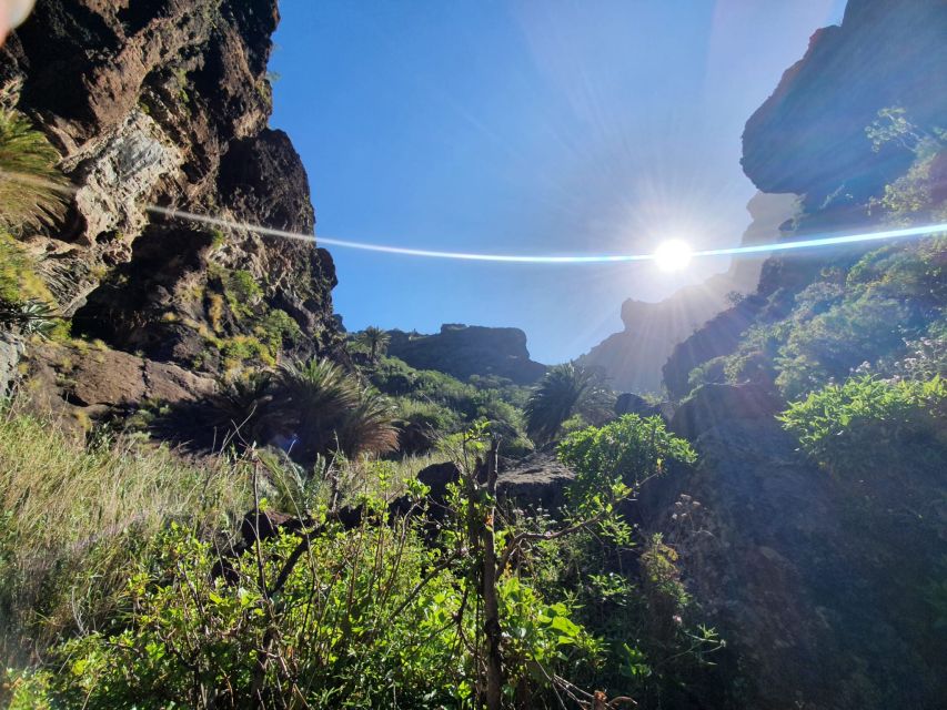 Tenerife : Masca Ravine Breathtaking Hiking Adventure - Customer Reviews