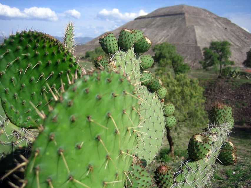 Teotihuacan Mexico City Tour: Ruins and Historic Center - Booking Details and Meeting Point