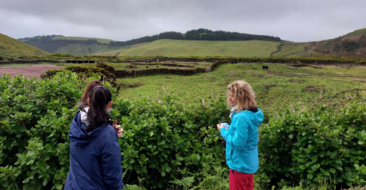 Terceira Island: West Tour - Tour Highlights