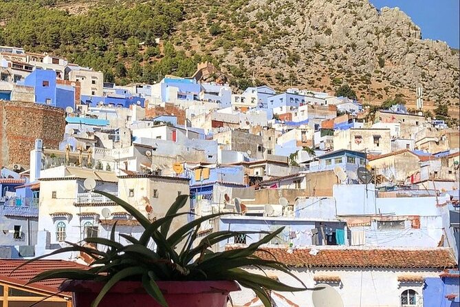 Tetouan & Chefchaouen Blue City Private Day Trip From Tangier - Expert Local Guide